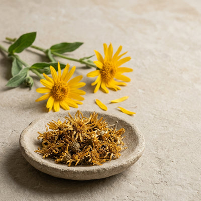 Arnica Montana (Botanical)